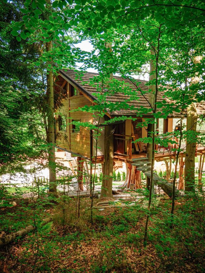 Lodge Tworzowka - Ekskluzywne W Gorach